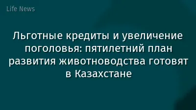 Льготные кредиты и увеличение поголовья: пятилетний план развития животноводства готовят в Казахстане