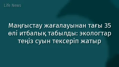 Маңғыстау жағалауынан тағы 35 өлі итбалық табылды: экологтар теңіз суын тексеріп жатыр