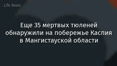 Еще 35 мертвых тюленей обнаружили на побережье Каспия в Мангистауской области