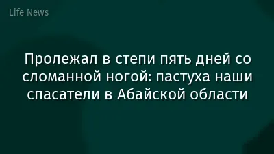 Пролежал в степи пять дней со сломанной ногой: пастуха наши спасатели в Абайской области