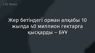 Жер бетіндегі орман алқабы 10 жылда 40 миллион гектарға қысқарды – БҰҰ