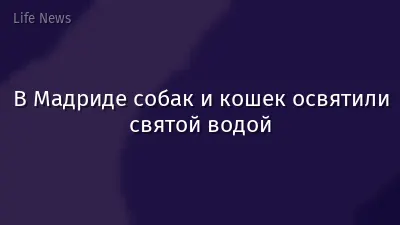В Мадриде собак и кошек освятили святой водой