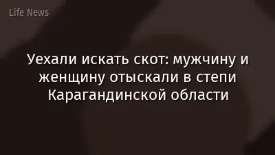 Уехали искать скот: мужчину и женщину отыскали в степи Карагандинской области