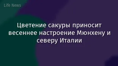 Цветение сакуры приносит весеннее настроение Мюнхену и северу Италии