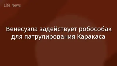 Венесуэла задействует робособак для патрулирования Каракаса