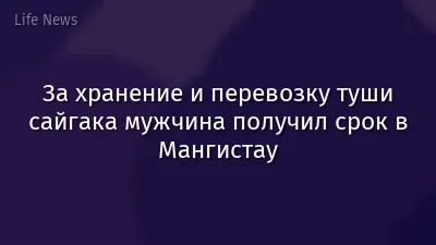 За хранение и перевозку туши сайгака мужчина получил срок в Мангистау