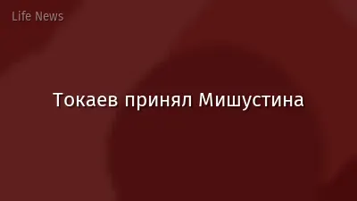 Токаев принял Мишустина