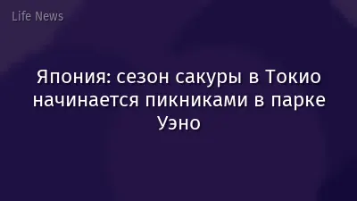 Япония: сезон сакуры в Токио начинается пикниками в парке Уэно