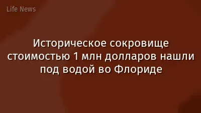 Историческое сокровище стоимостью 1 млн долларов нашли под водой во Флориде