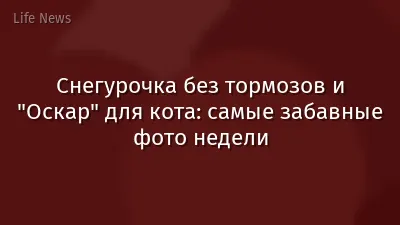 Снегурочка без тормозов и "Оскар" для кота: самые забавные фото недели
