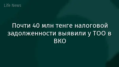 Почти 40 млн тенге налоговой задолженности выявили у ТОО в ВКО
