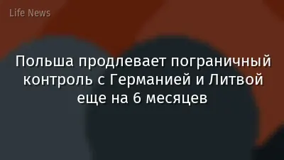 Польша продлевает пограничный контроль с Германией и Литвой еще на 6 месяцев