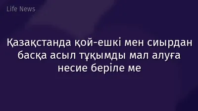 Қазақстанда қой-ешкі мен сиырдан басқа асыл тұқымды мал алуға несие беріле ме