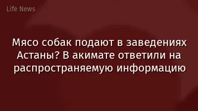 Мясо собак подают в заведениях Астаны? В акимате ответили на распространяемую информацию