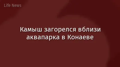 Камыш загорелся вблизи аквапарка в Конаеве