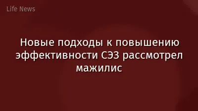 Новые подходы к повышению эффективности СЭЗ рассмотрел мажилис