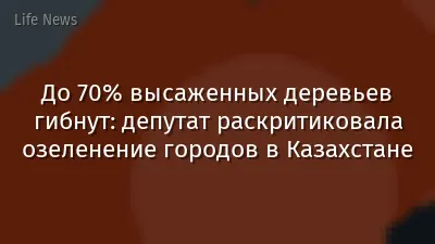 До 70% высаженных деревьев гибнут: депутат раскритиковала озеленение городов в Казахстане