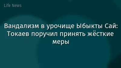 Вандализм в урочище Ыбыкты Сай: Токаев поручил принять жёсткие меры