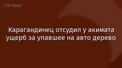 Карагандинец отсудил у акимата ущерб за упавшее на авто дерево
