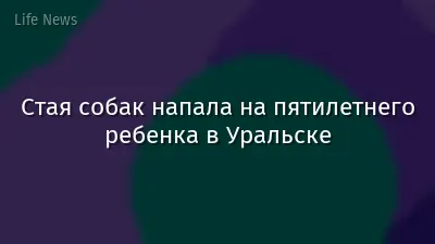 Стая собак напала на пятилетнего ребенка в Уральске