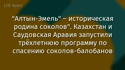 "Алтын-Эмель" – историческая родина соколов". Казахстан и Саудовская Аравия запустили трёхлетнюю программу по спасению соколов-балобанов