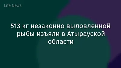 513 кг незаконно выловленной рыбы изъяли в Атырауской области