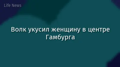 Волк укусил женщину в центре Гамбурга