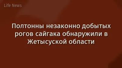 Полтонны незаконно добытых рогов сайгака обнаружили в Жетысуской области