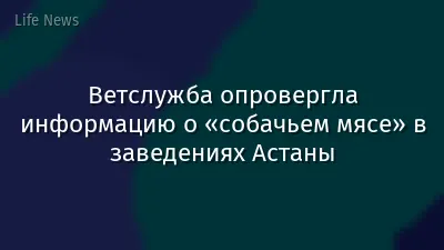 Ветслужба опровергла информацию о «собачьем мясе» в заведениях Астаны