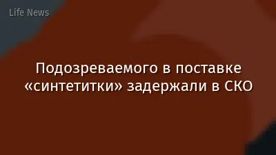 Подозреваемого в поставке «синтетитки» задержали в СКО