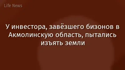 У инвестора, завёзшего бизонов в Акмолинскую область, пытались изъять земли
