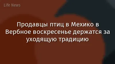 Продавцы птиц в Мехико в Вербное воскресенье держатся за уходящую традицию