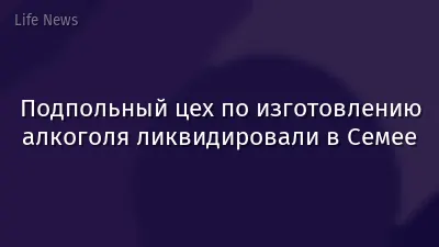 Подпольный цех по изготовлению алкоголя ликвидировали в Семее