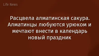 Расцвела алматинская сакура. Алматинцы любуются урюком и мечтают внести в календарь новый праздник