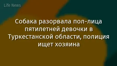 Собака разорвала пол-лица пятилетней девочки в Туркестанской области, полиция ищет хозяина
