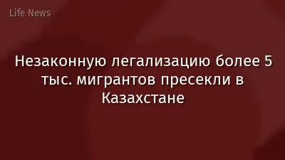 Незаконную легализацию более 5 тыс. мигрантов пресекли в Казахстане