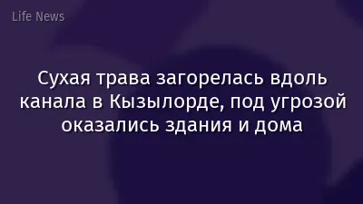 Сухая трава загорелась вдоль канала в Кызылорде, под угрозой оказались здания и дома