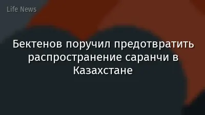 Бектенов поручил предотвратить распространение саранчи в Казахстане