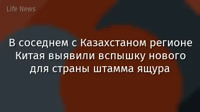 В соседнем с Казахстаном регионе Китая выявили вспышку нового для страны штамма ящура