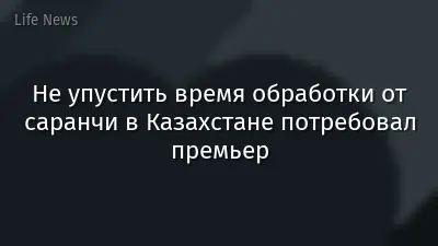 Не упустить время обработки от саранчи в Казахстане потребовал премьер