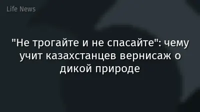 "Не трогайте и не спасайте": чему учит казахстанцев вернисаж о дикой природе