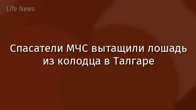 Спасатели МЧС вытащили лошадь из колодца в Талгаре