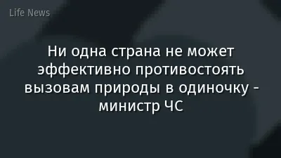 Ни одна страна не может эффективно противостоять вызовам природы в одиночку - министр ЧС