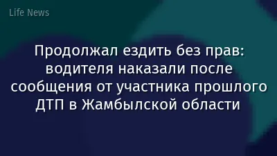 Продолжал ездить без прав: водителя наказали после сообщения от участника прошлого ДТП в Жамбылской области