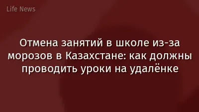 Отмена занятий в школе из-за морозов в Казахстане: как должны проводить уроки на удалёнке