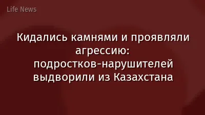 Кидались камнями и проявляли агрессию: подростков-нарушителей выдворили из Казахстана