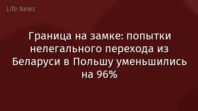 Граница на замке: попытки нелегального перехода из Беларуси в Польшу уменьшились на 96%