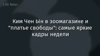 Ким Чен Ын в зоомагазине и "платье свободы": самые яркие кадры недели