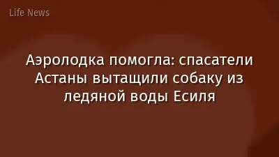 Аэролодка помогла: спасатели Астаны вытащили собаку из ледяной воды Есиля