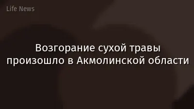 Возгорание сухой травы произошло в Акмолинской области